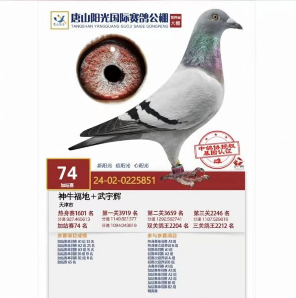 ��ɽ��������վ��74��