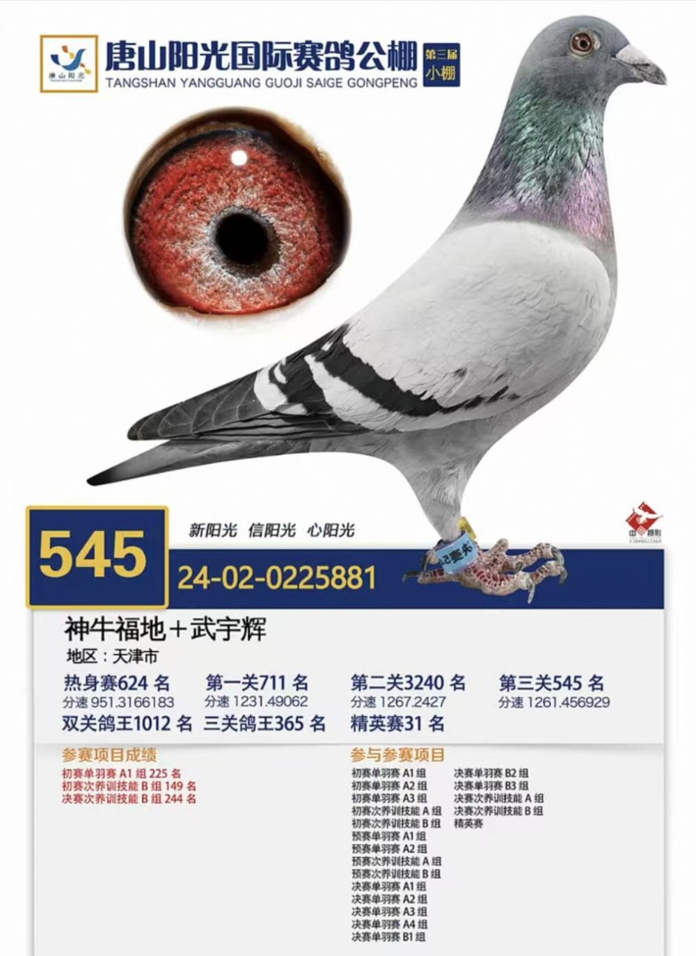 ��ɽ�������545��