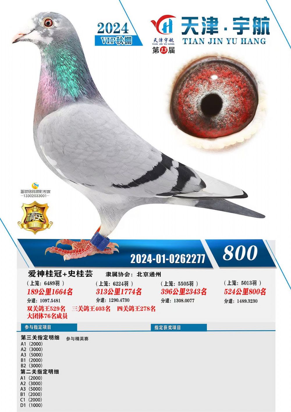 �����800��