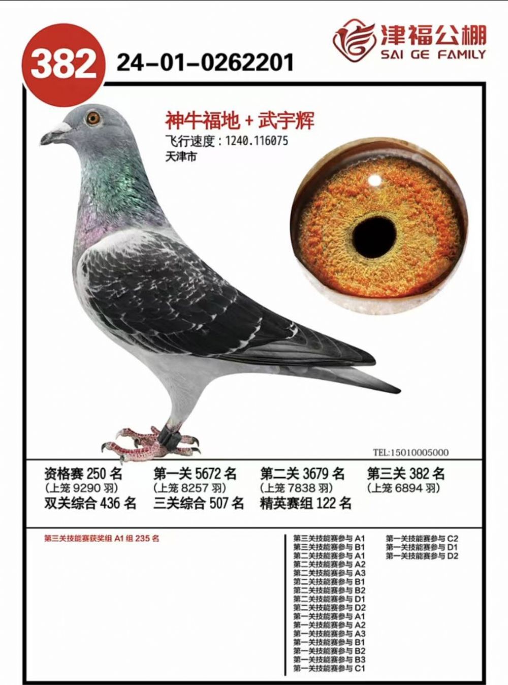 �򸣹���382��