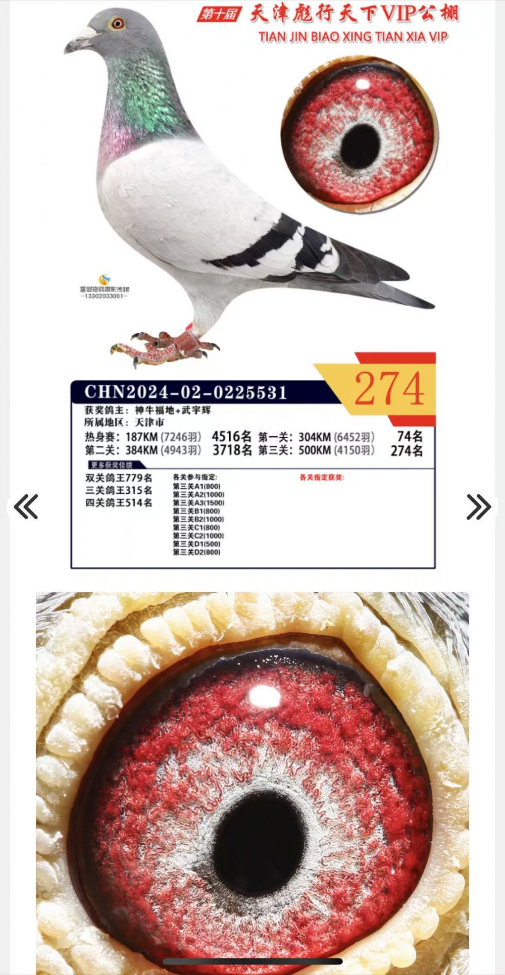 �������¹���274��