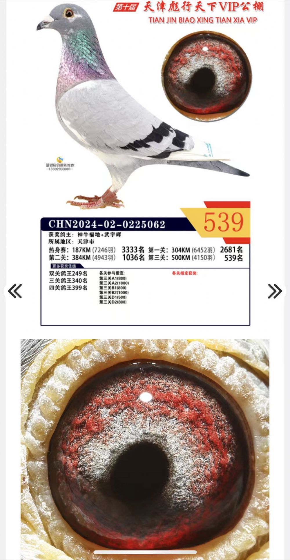 �������¹���539��