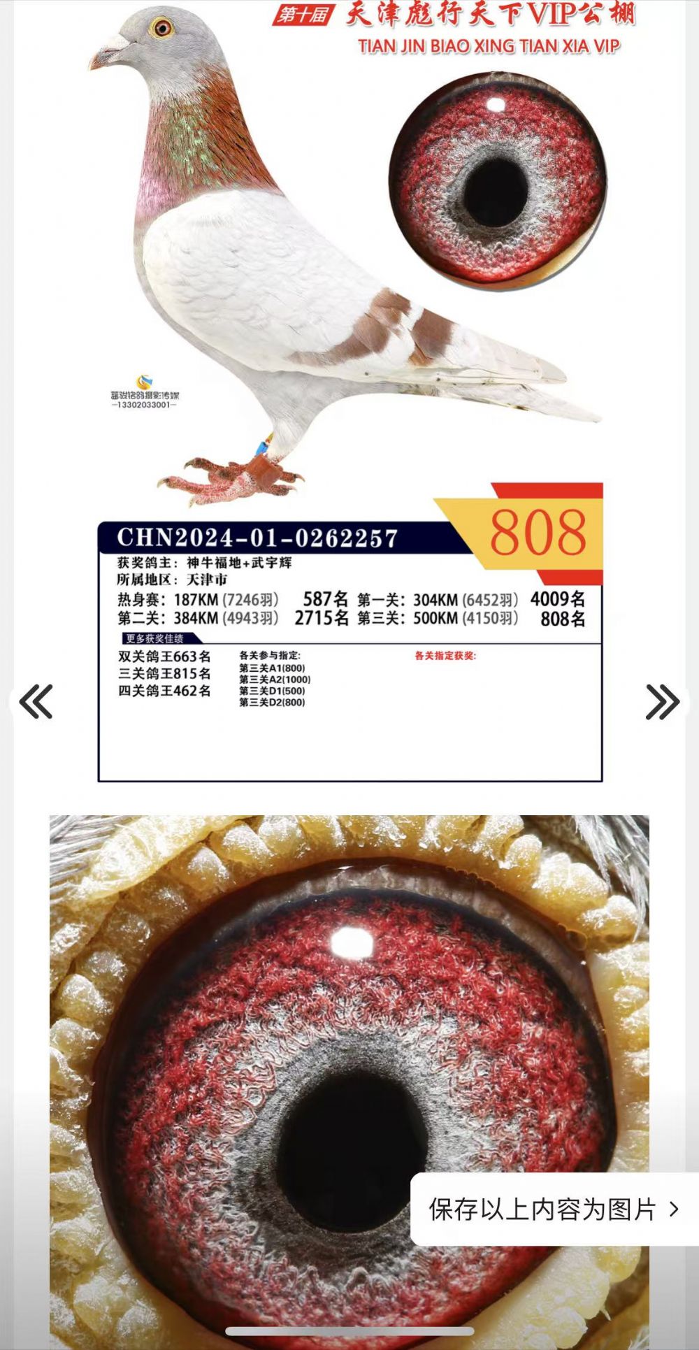 ��������808��