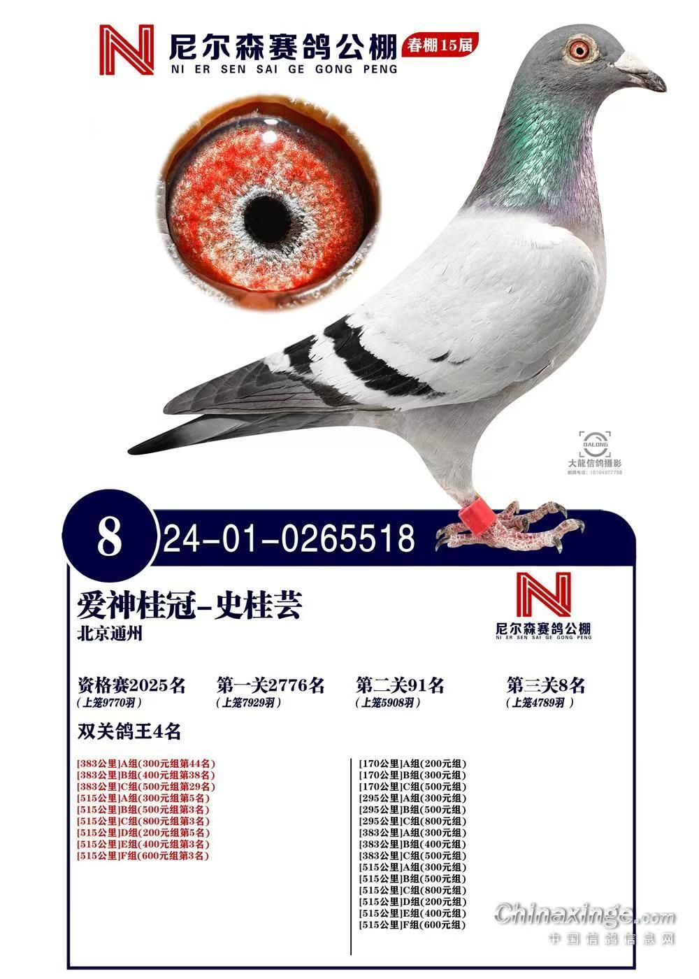 ���ɭ�������8��