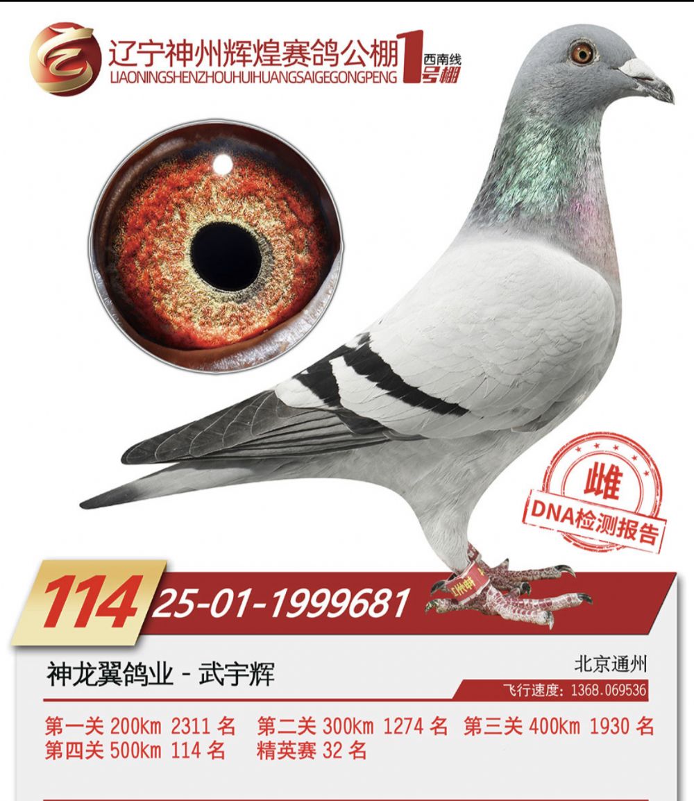 ����1��114��