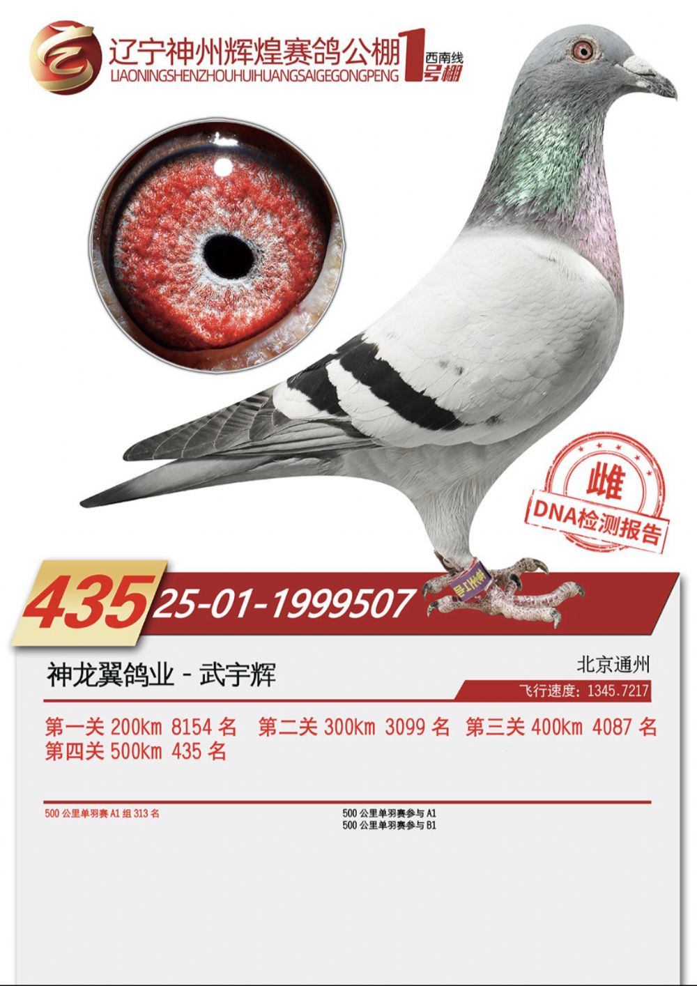 ����1��435��