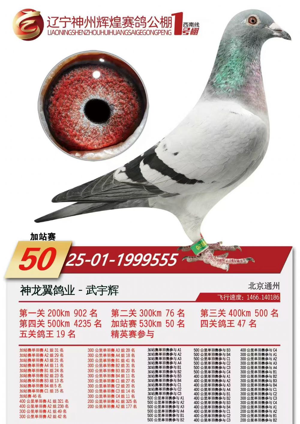 ����֮��