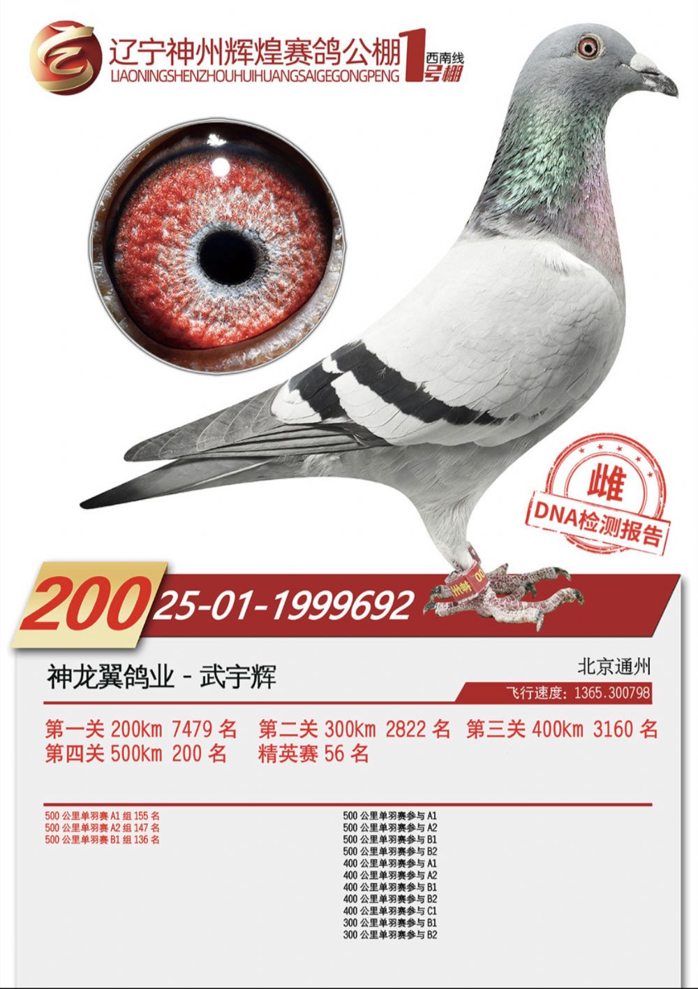 ����1��200��