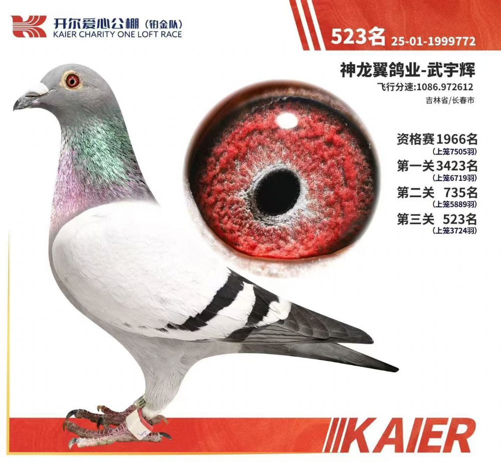 ����523��