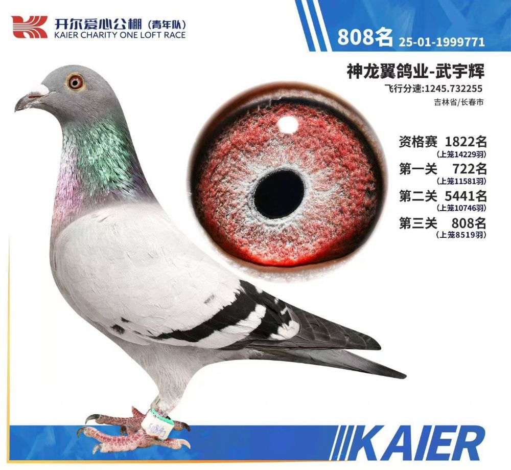 ����808��