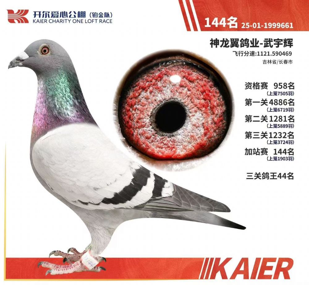 ����144��