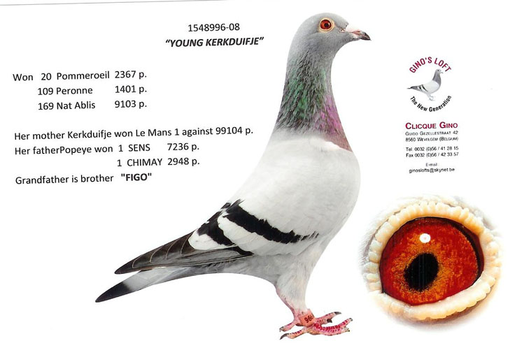 ������ԭ�����¿˴ơ�