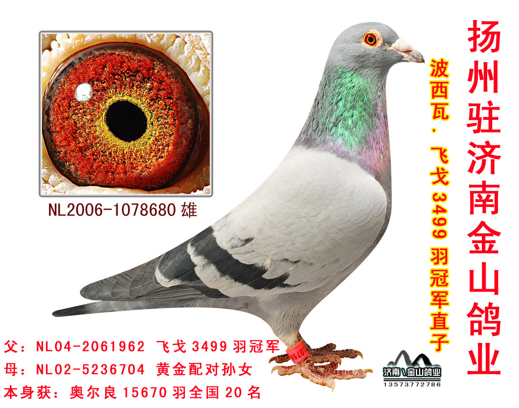 ������.�ɸ�3499��ھ�ֱ��