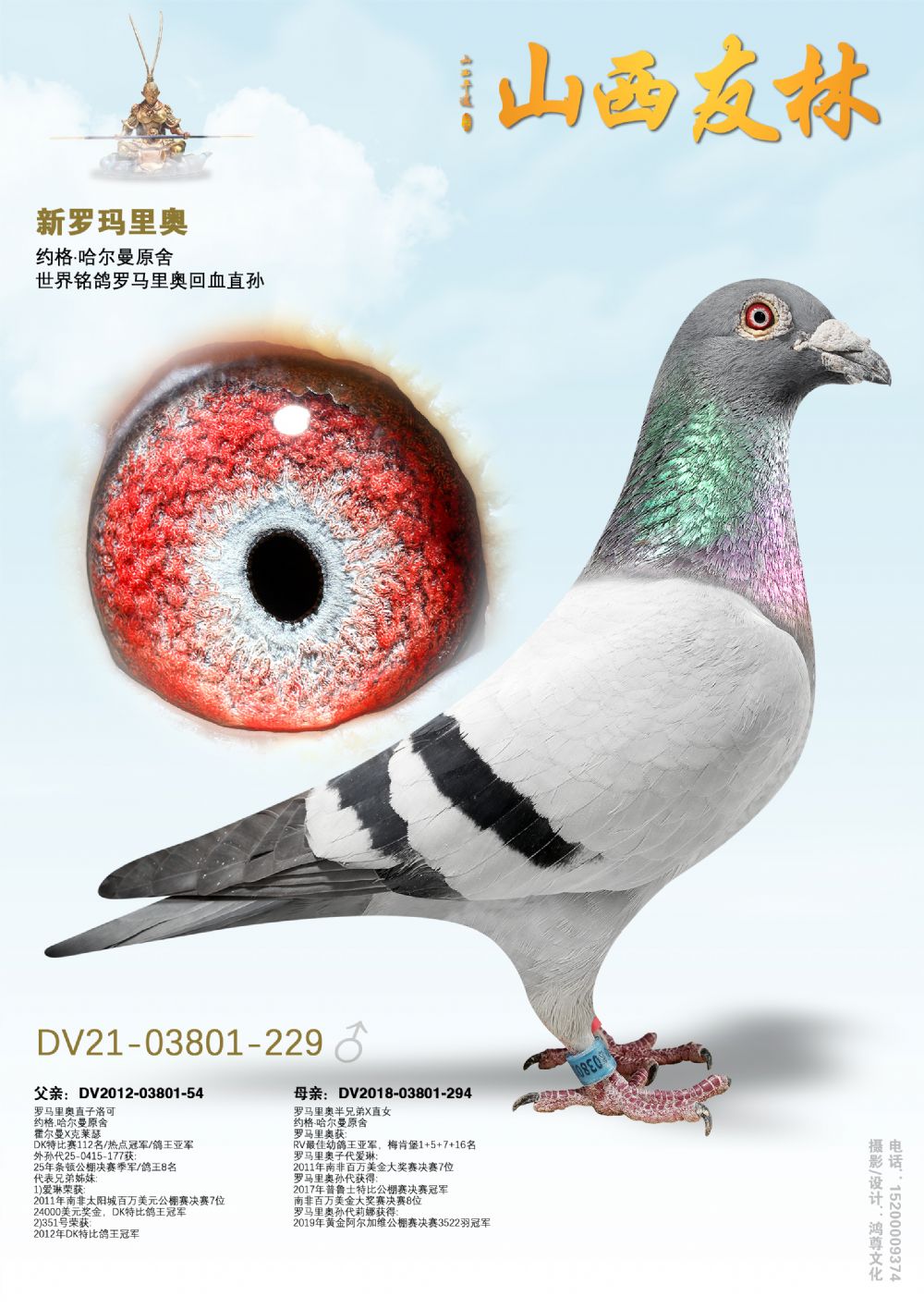 ����������¡�