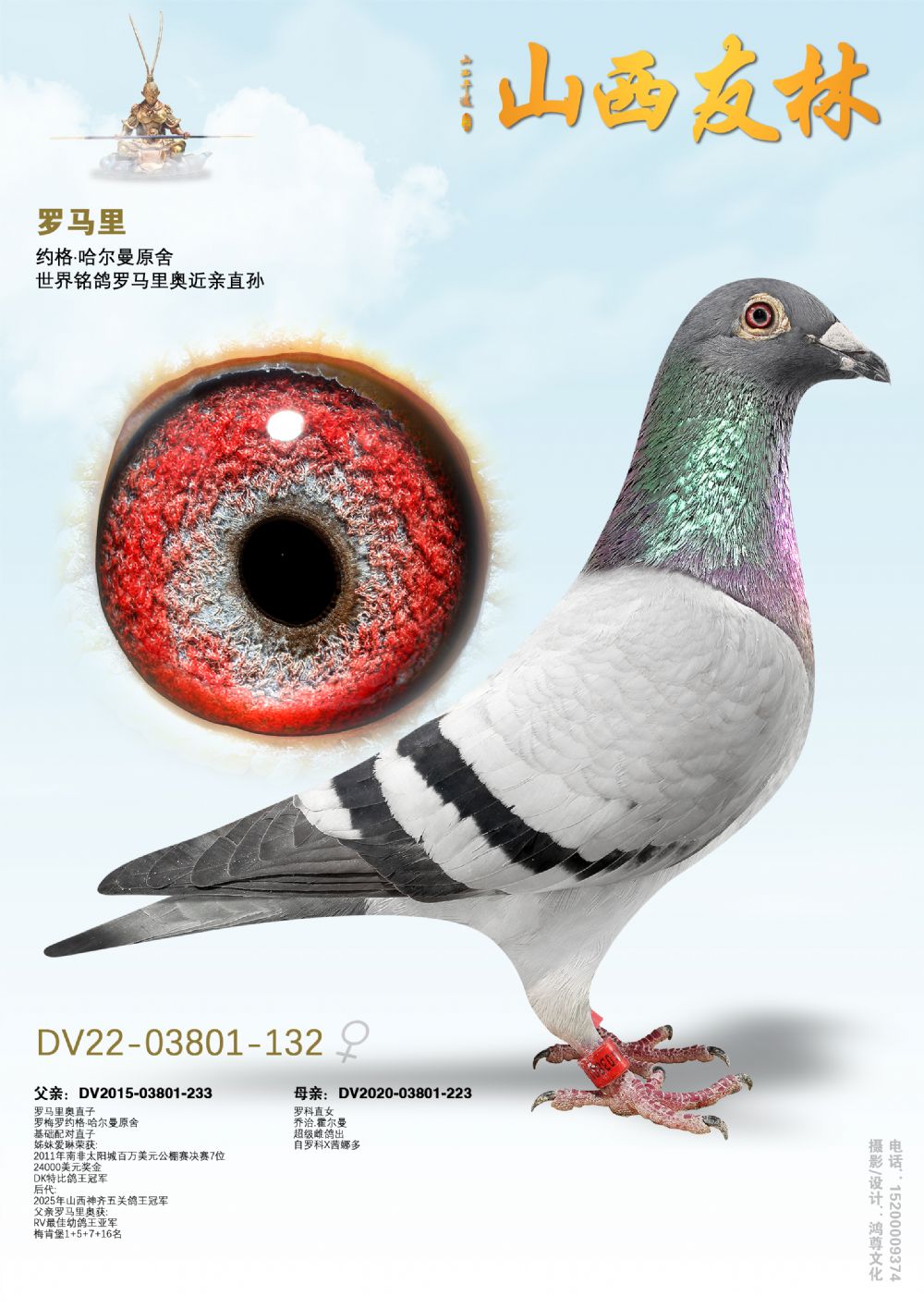 �������