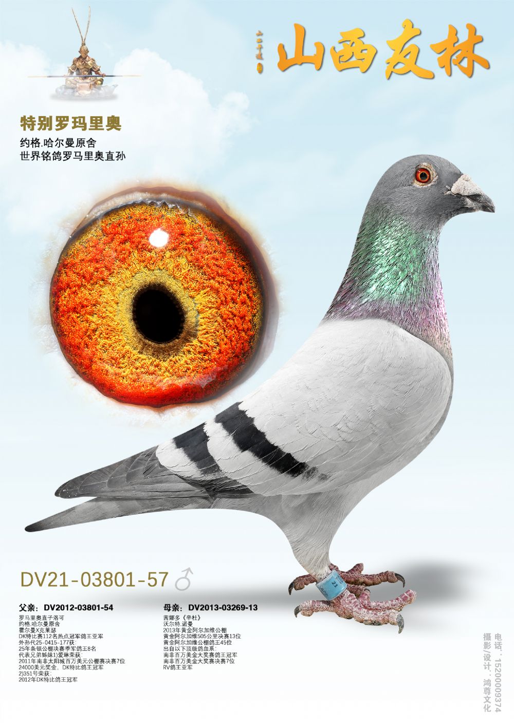 ���ر�������¡�