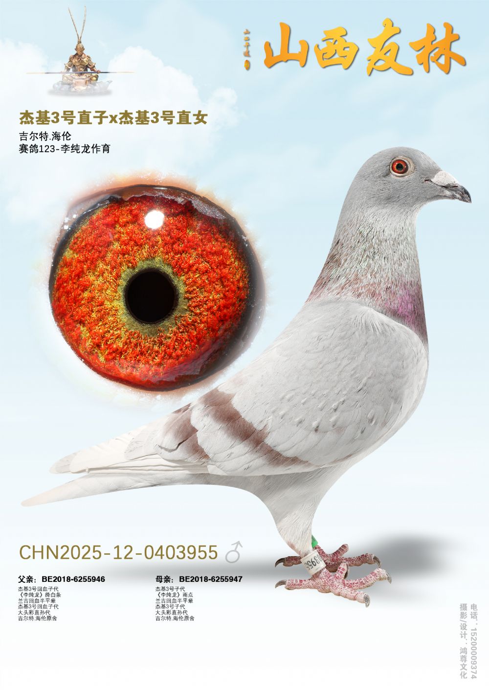 �ܻ���3�š�ֱ�ӡ��ܻ�3��ֱŮ