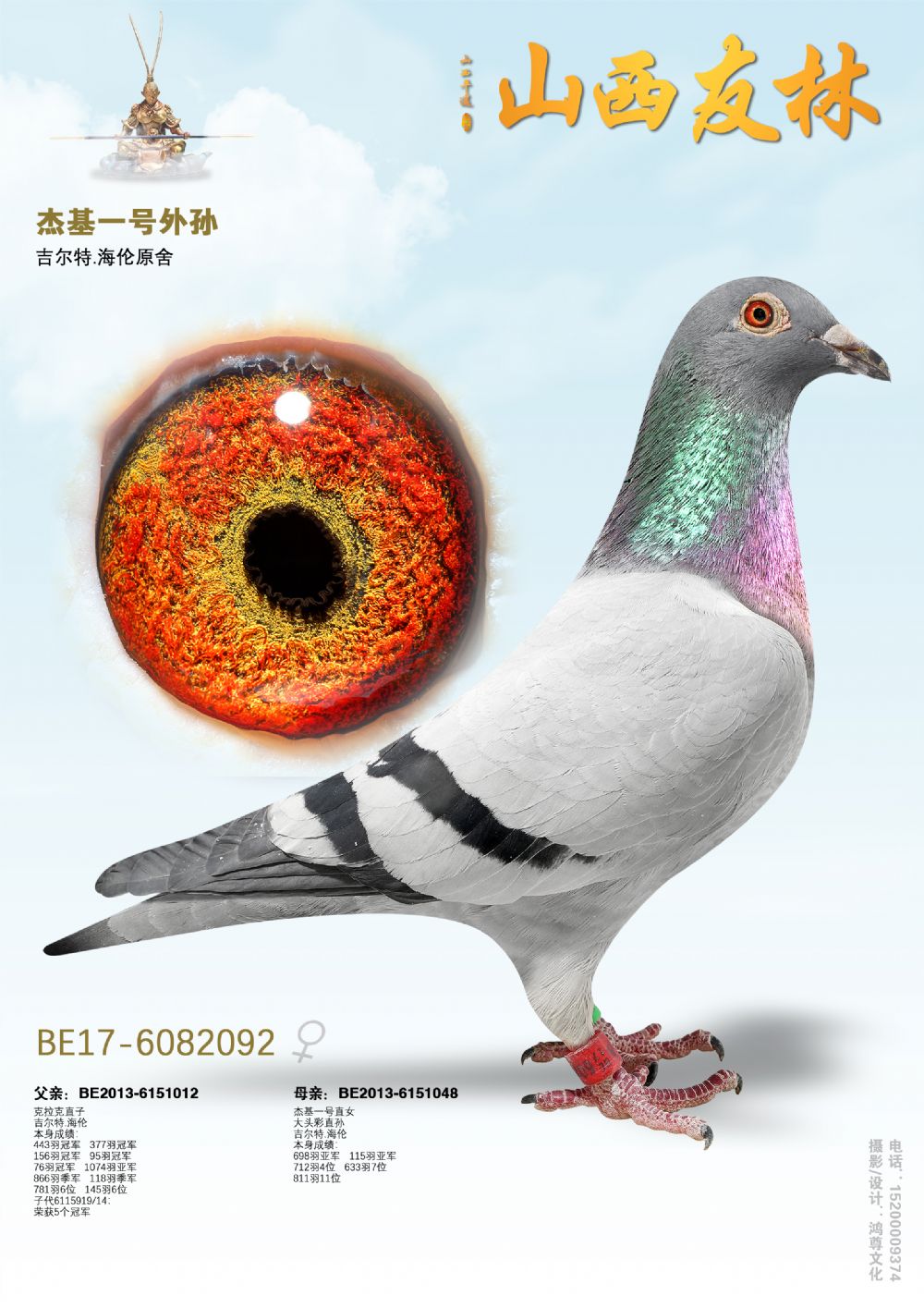 �ܻ�һ������