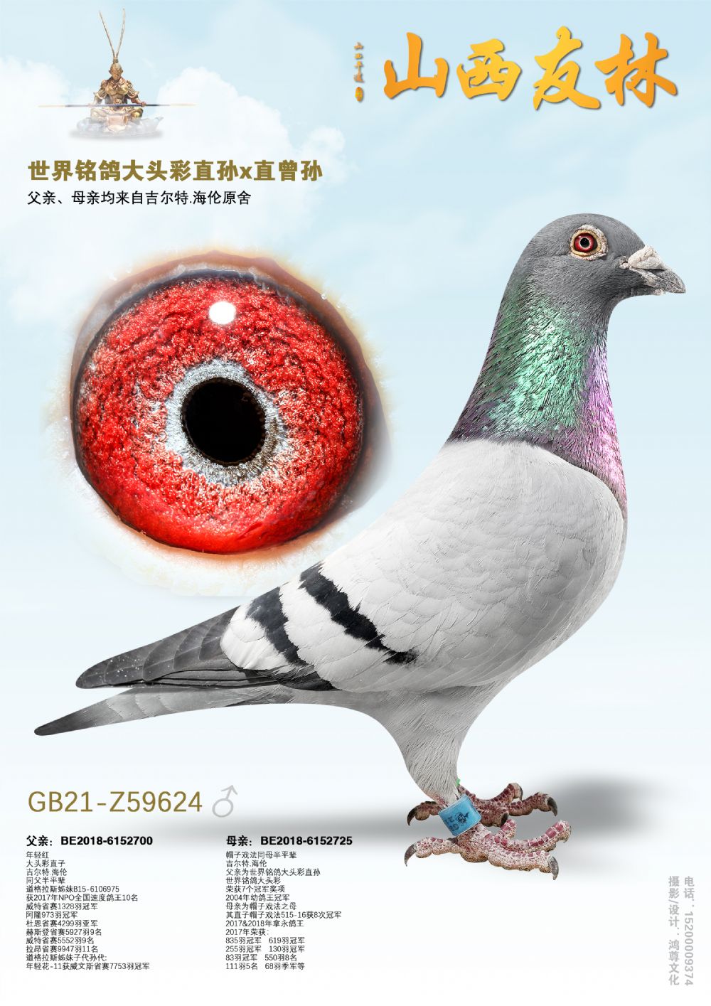 �������� ����ͷ��