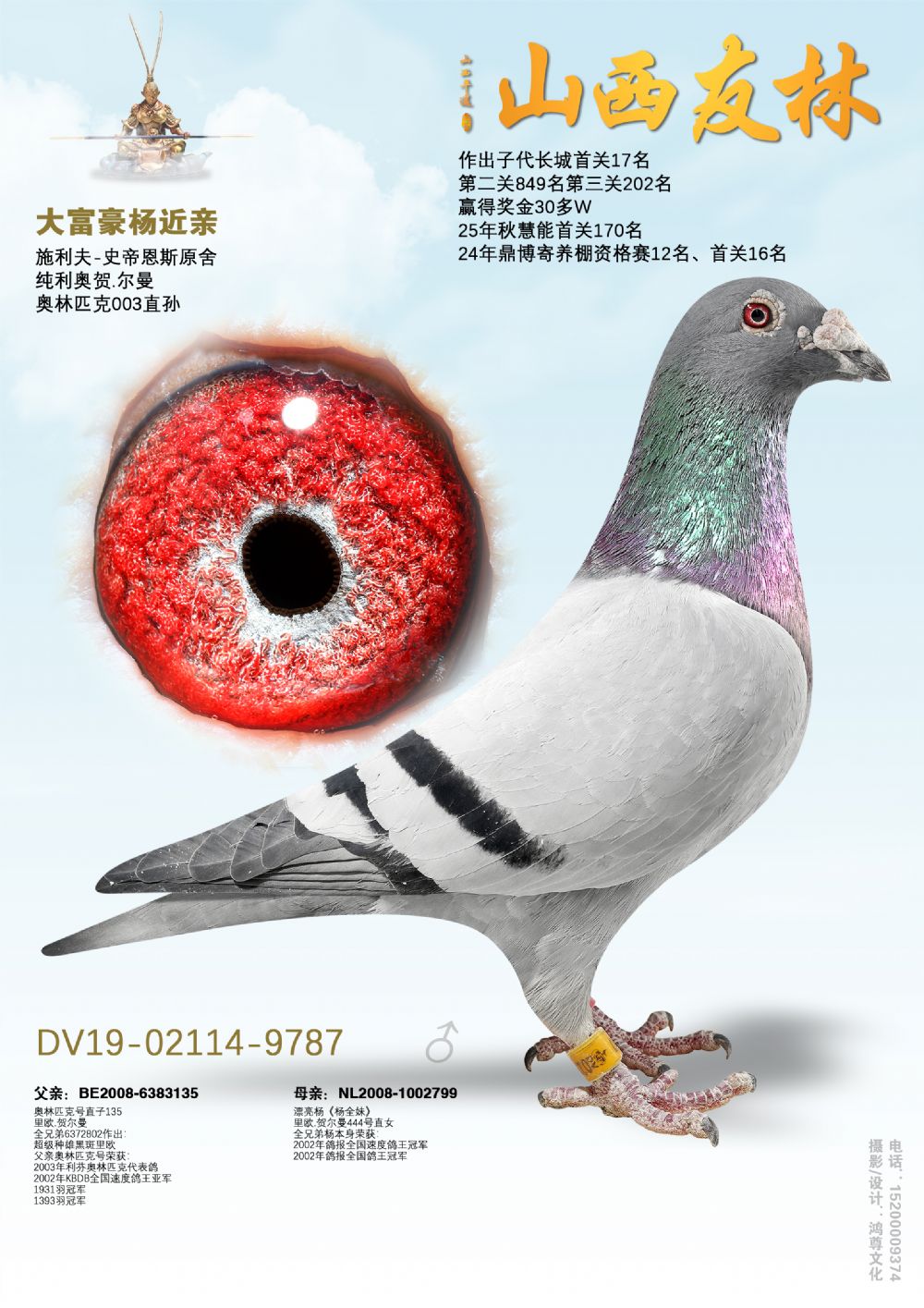 ��������ס��󸻺���