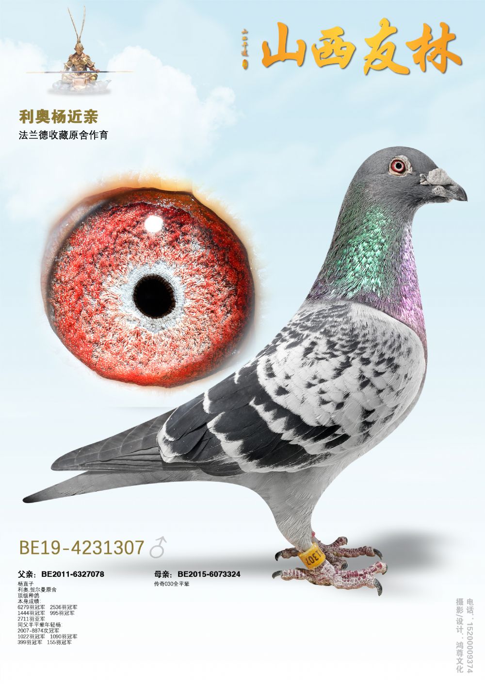 ���¡��ֱ��307