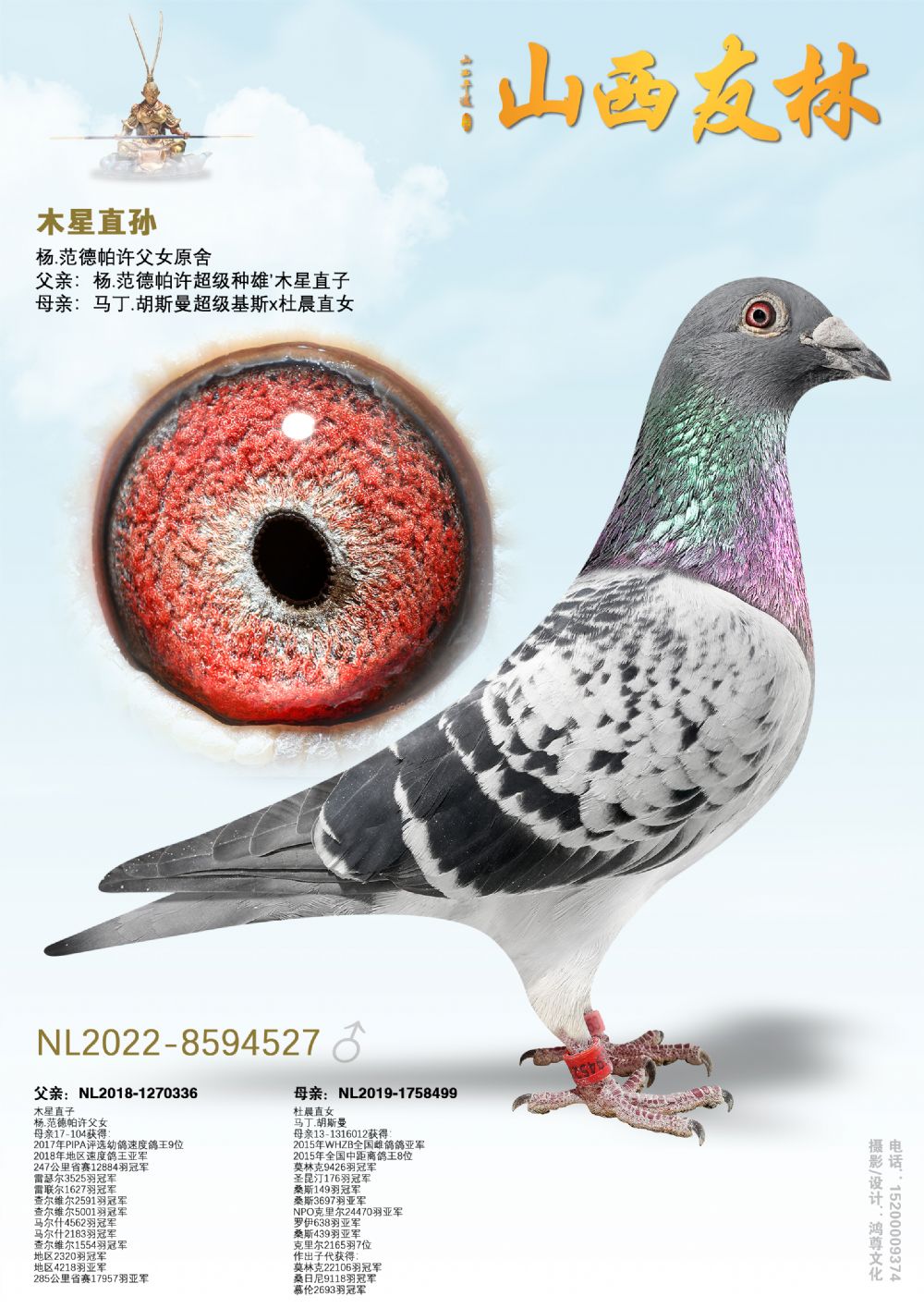 �������ۡ�ľ��ֱ�