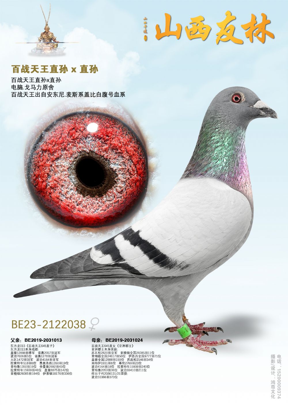 ��ս����ֱ�� x ֱ��