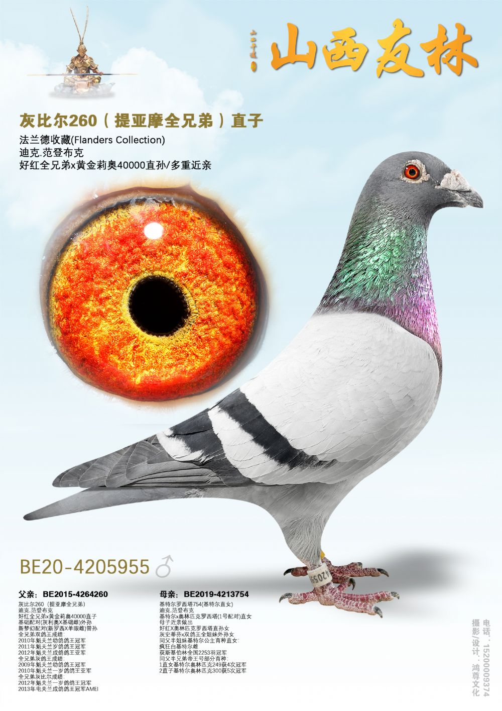 �ұȶ�260������Ħȫ�ֵܣ�ֱ��