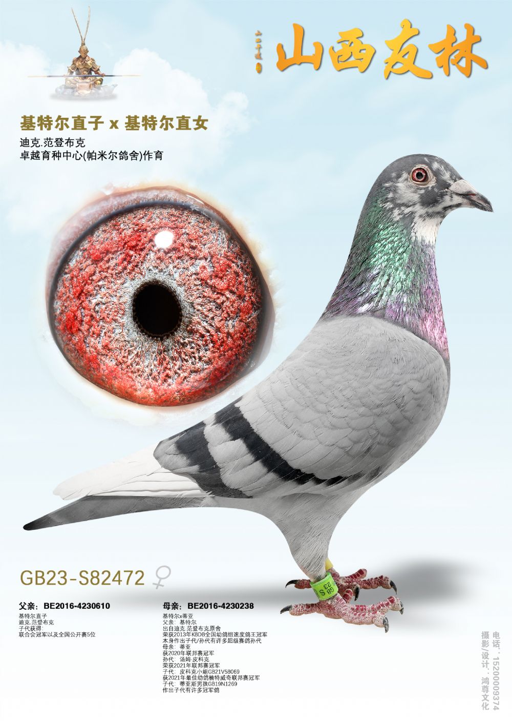 �����ض���ֱ��x�����ض���ֱŮ