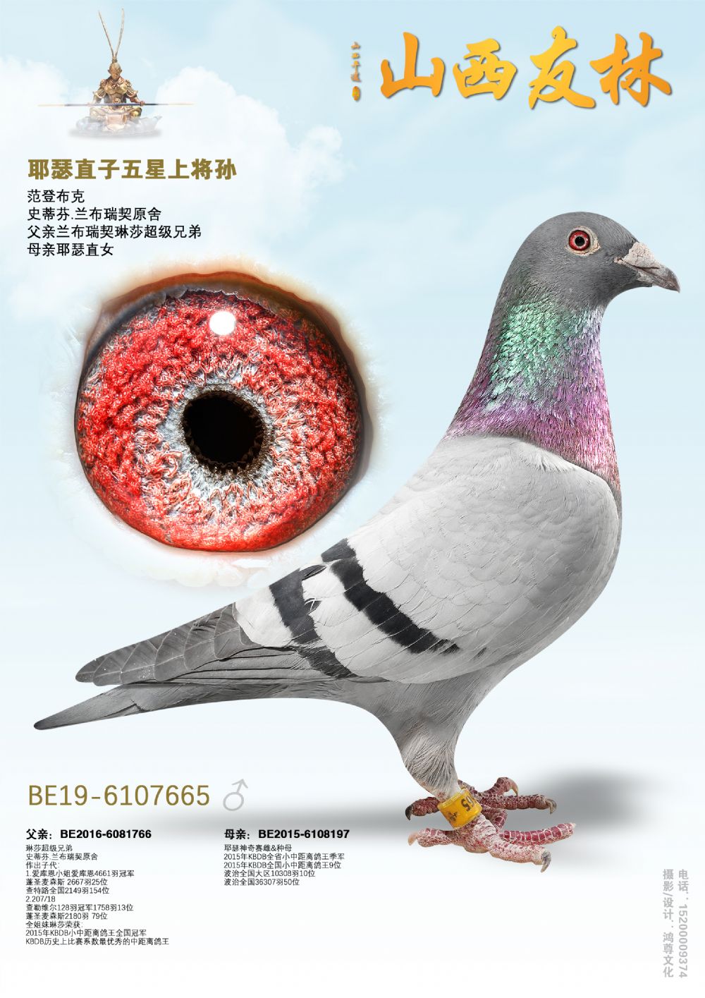 ���ǲ��ˡ������Ͻ���ֱ��