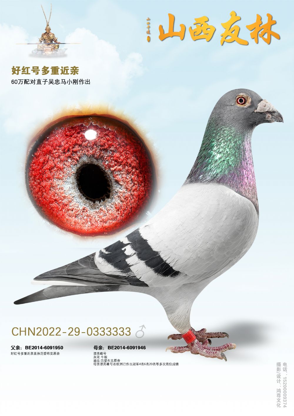 �ú�Ŷ��ؽ���