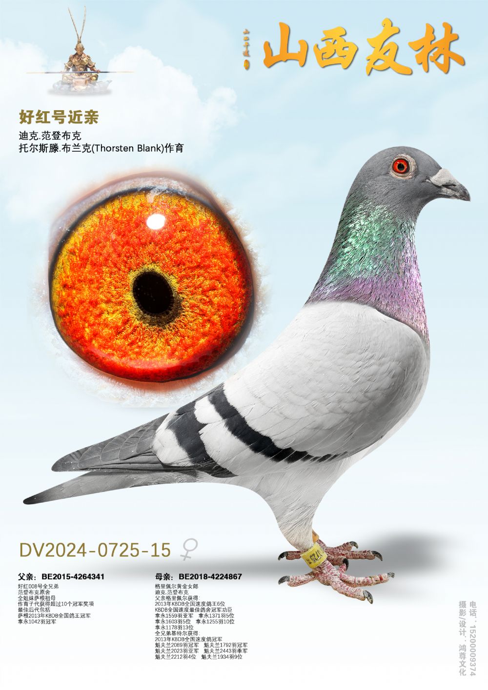 ���ǲ��ˡ��ú�š�����