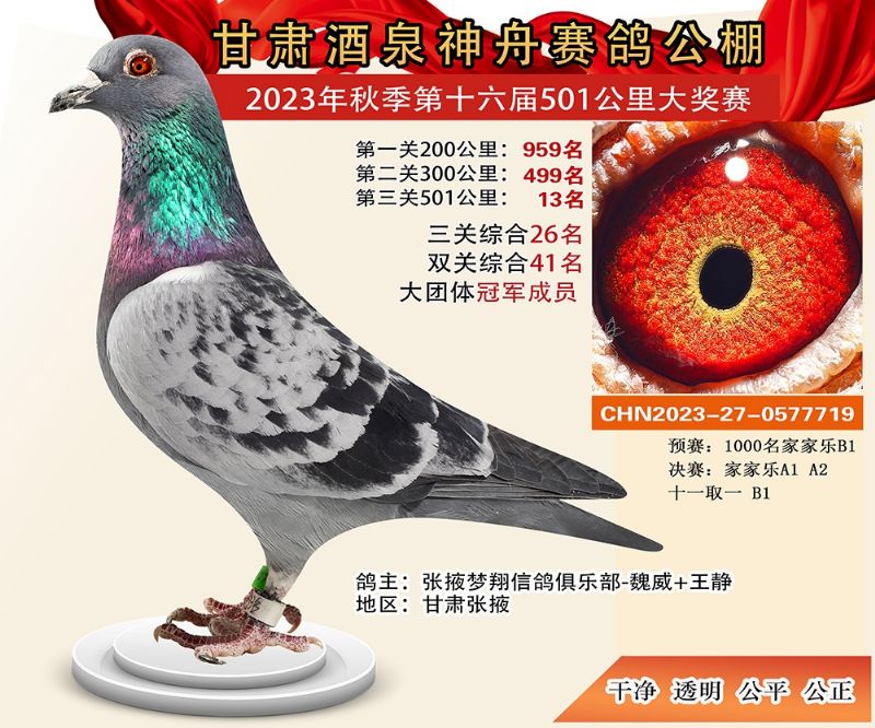 ��Ȫ���۹���13��