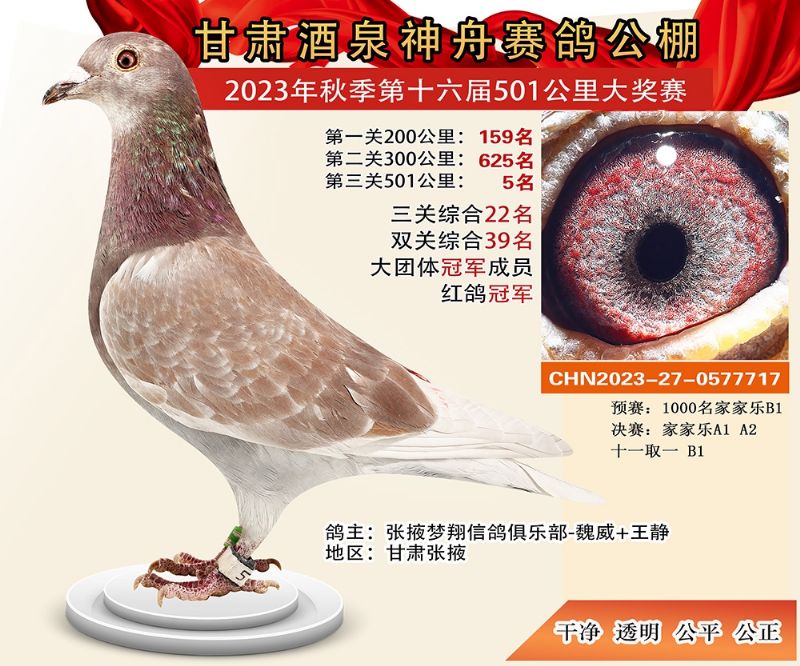 ��Ȫ���ݹ���5��