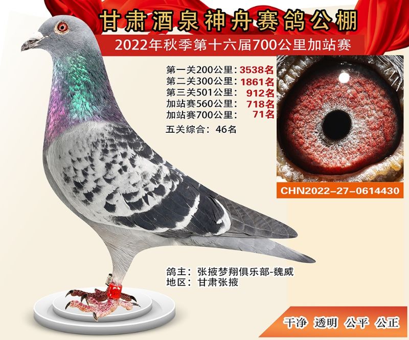 ���۹���700����71��