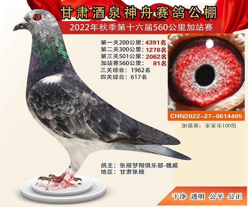 ���۹����վ��81��