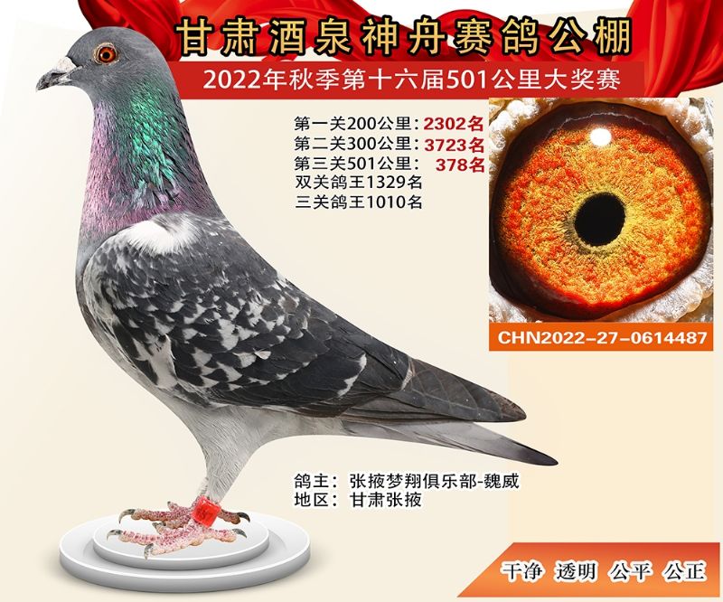 ���۹���378��