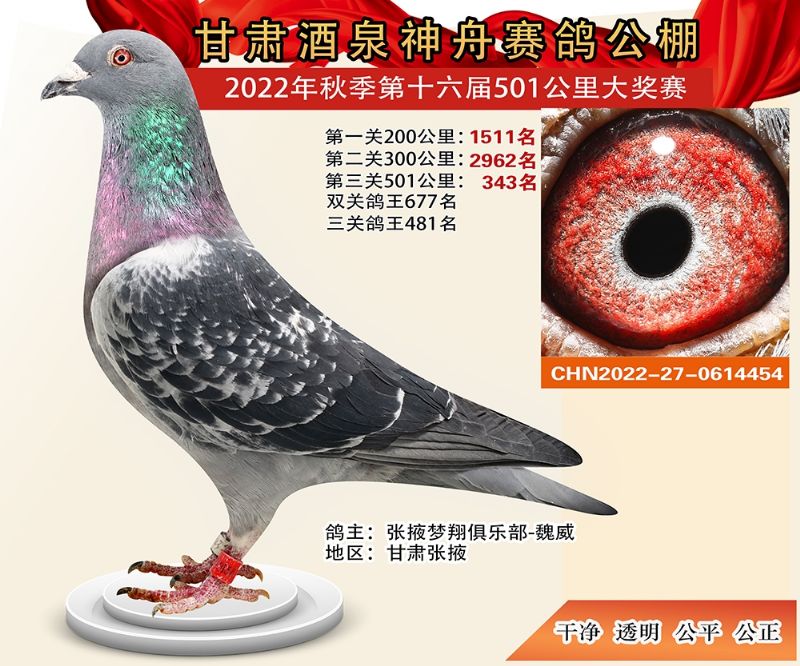 ���۹�343��