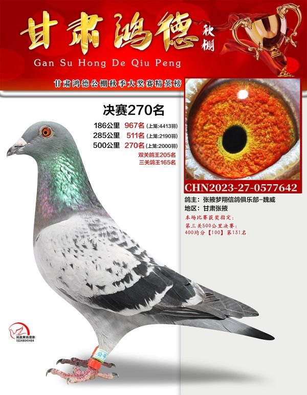 ��¹���270��