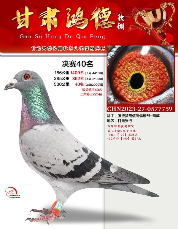 ��¹���40��