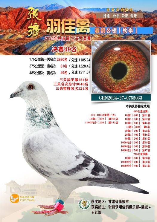 ����ݹ���49��