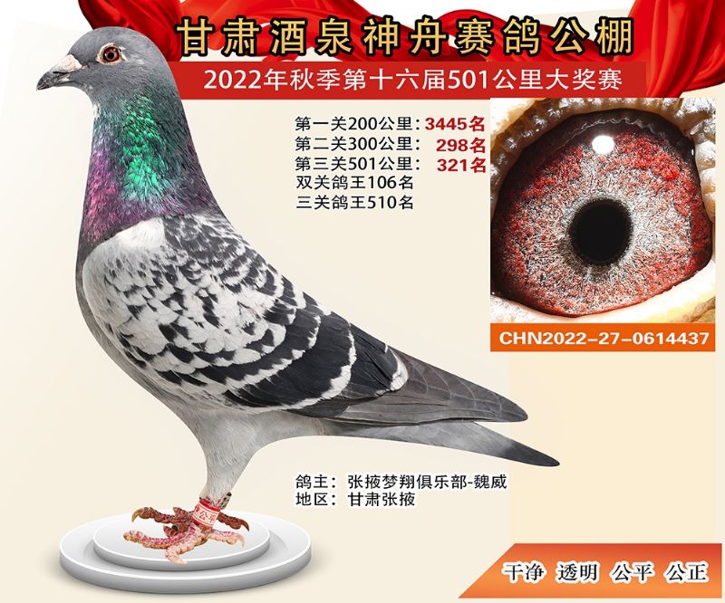 ���۹���321��