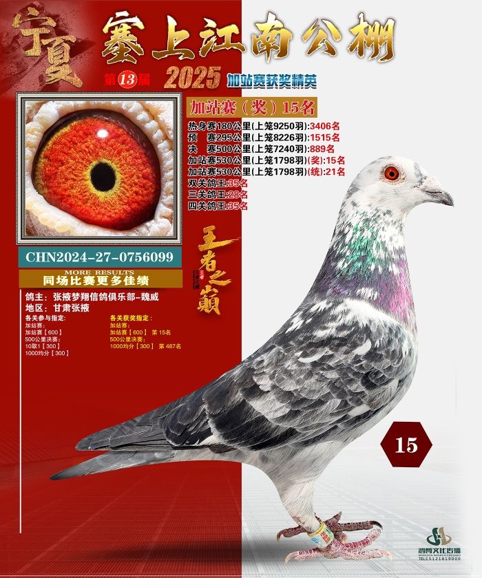 ���Ͻ��Ϲ����վ��15��