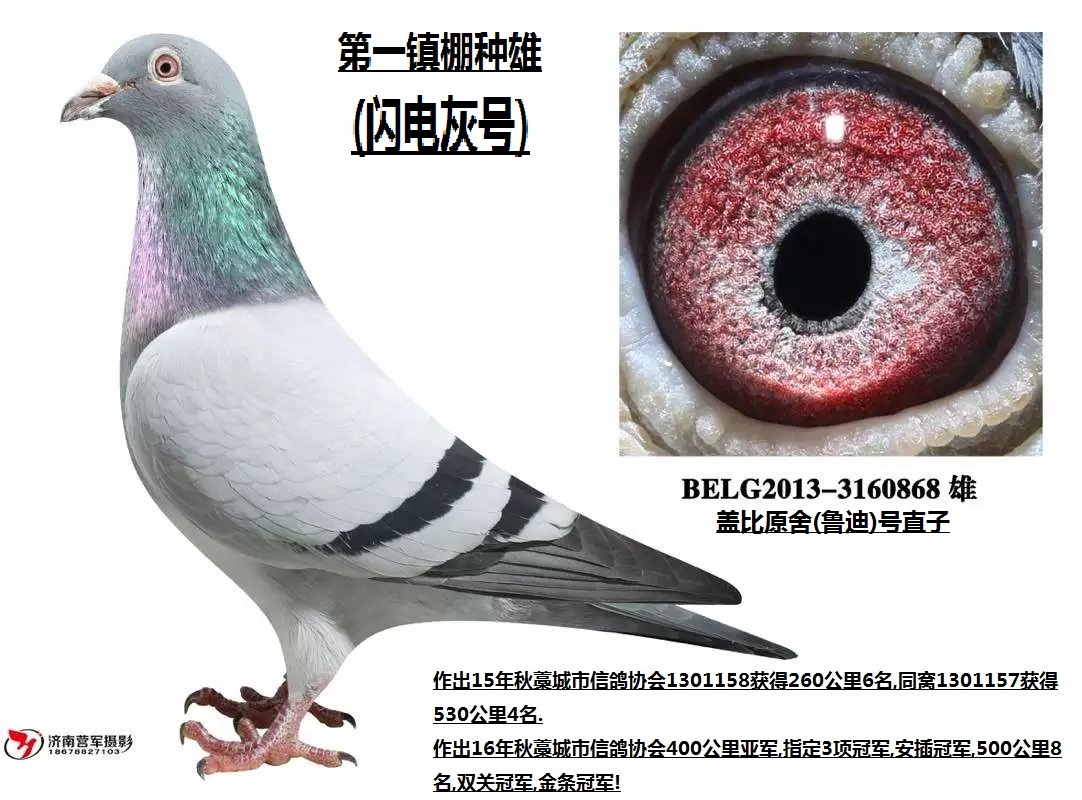 �Ǳ�³��ֱ��