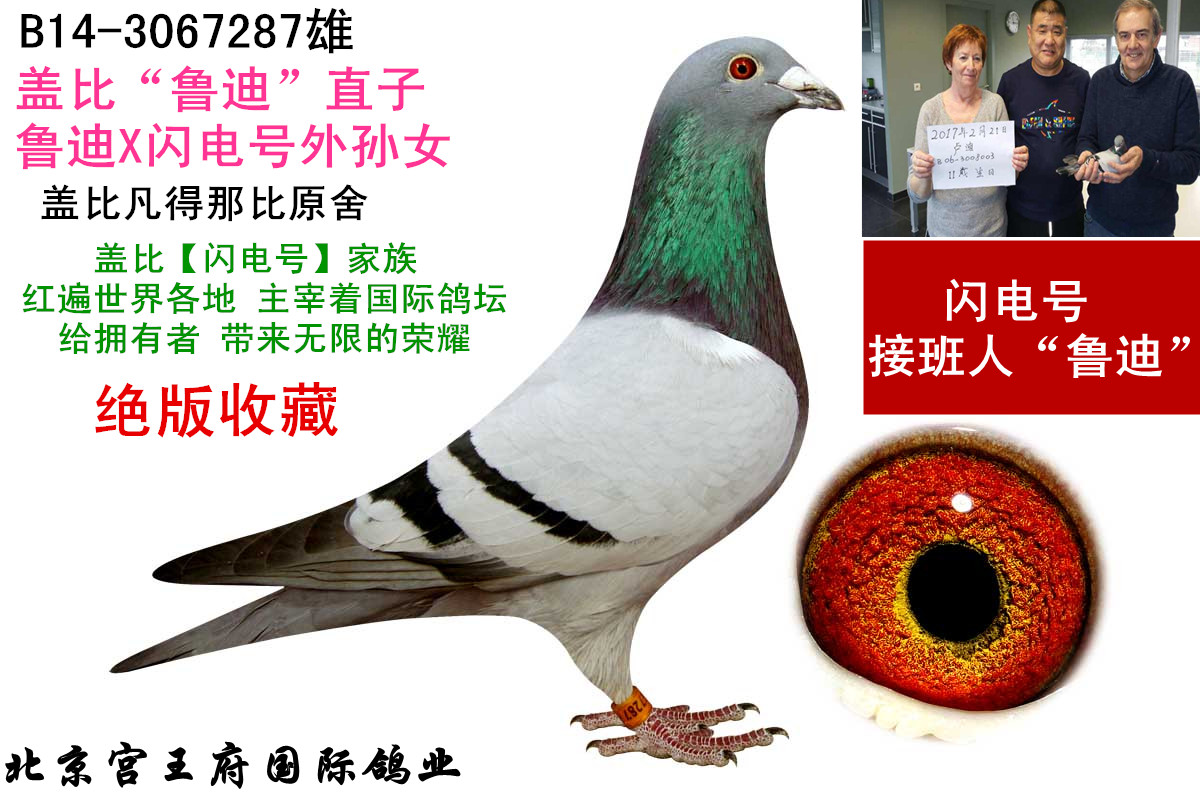 �Ǳȡ�³�ϡ�ֱ��