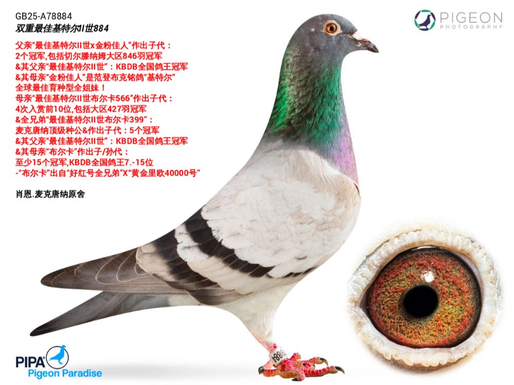 ��ѻ��ض����