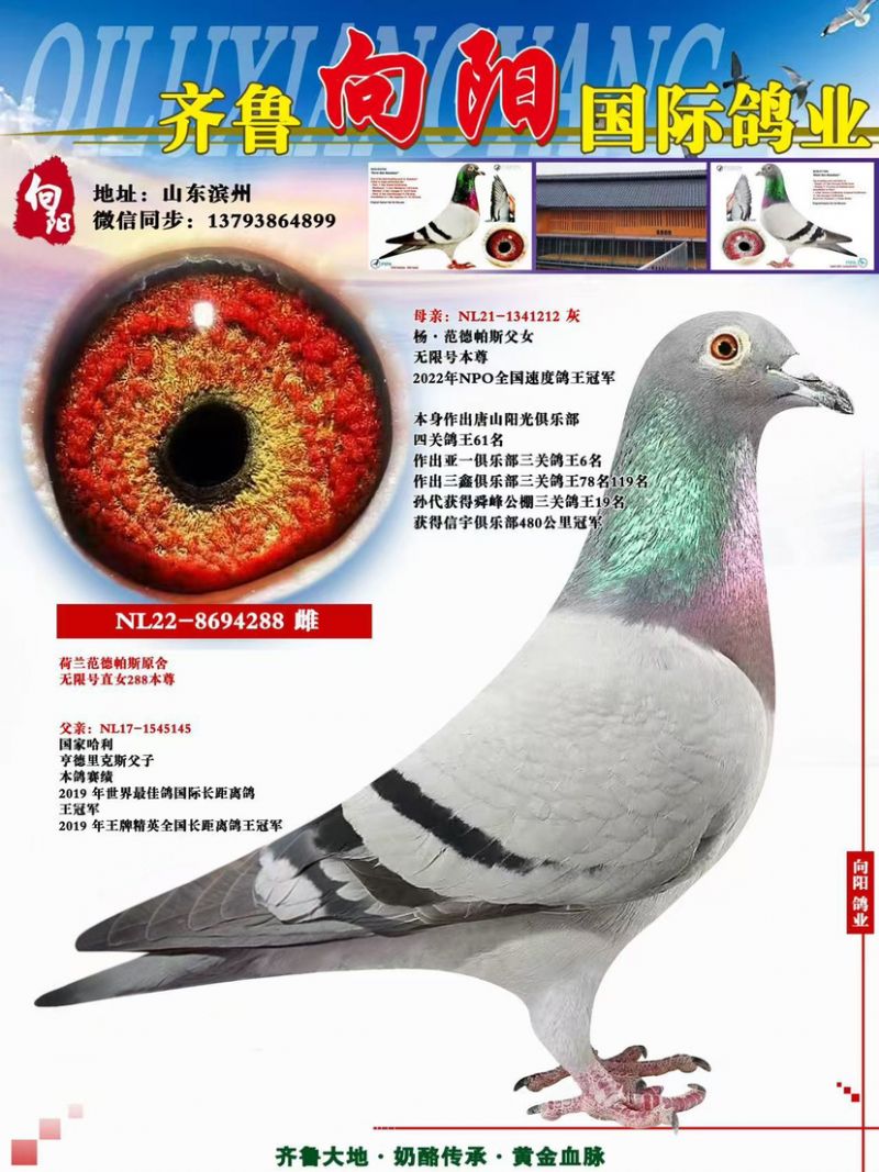 ���޺�288����