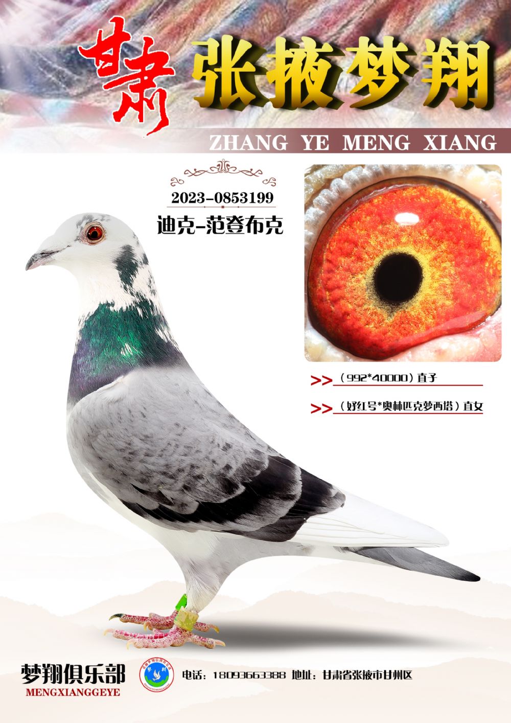 ���ض�������