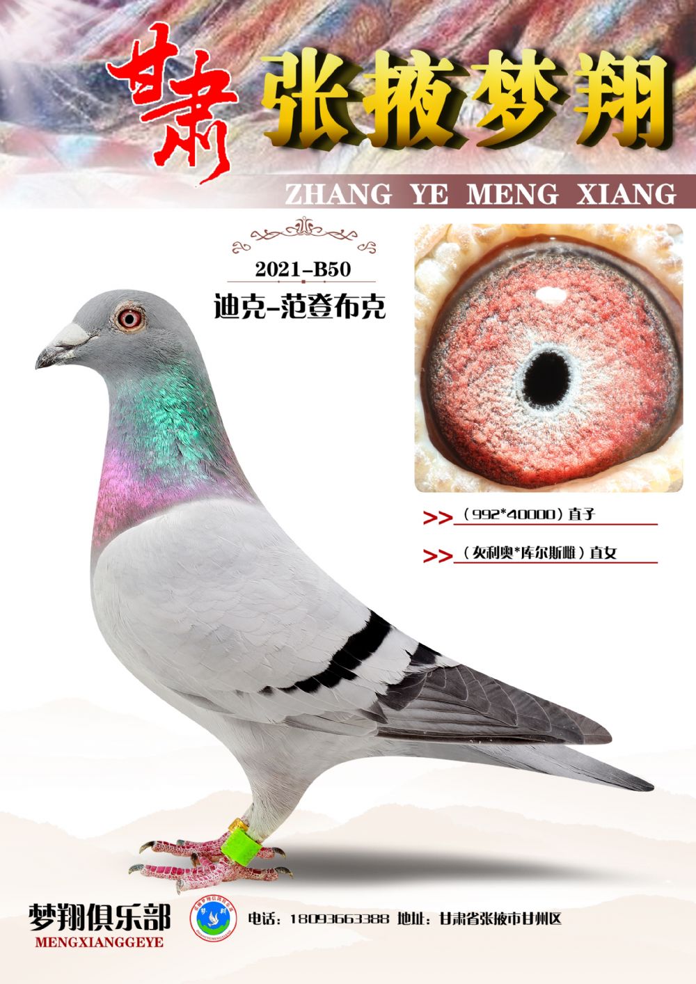 �ûҿ��˹