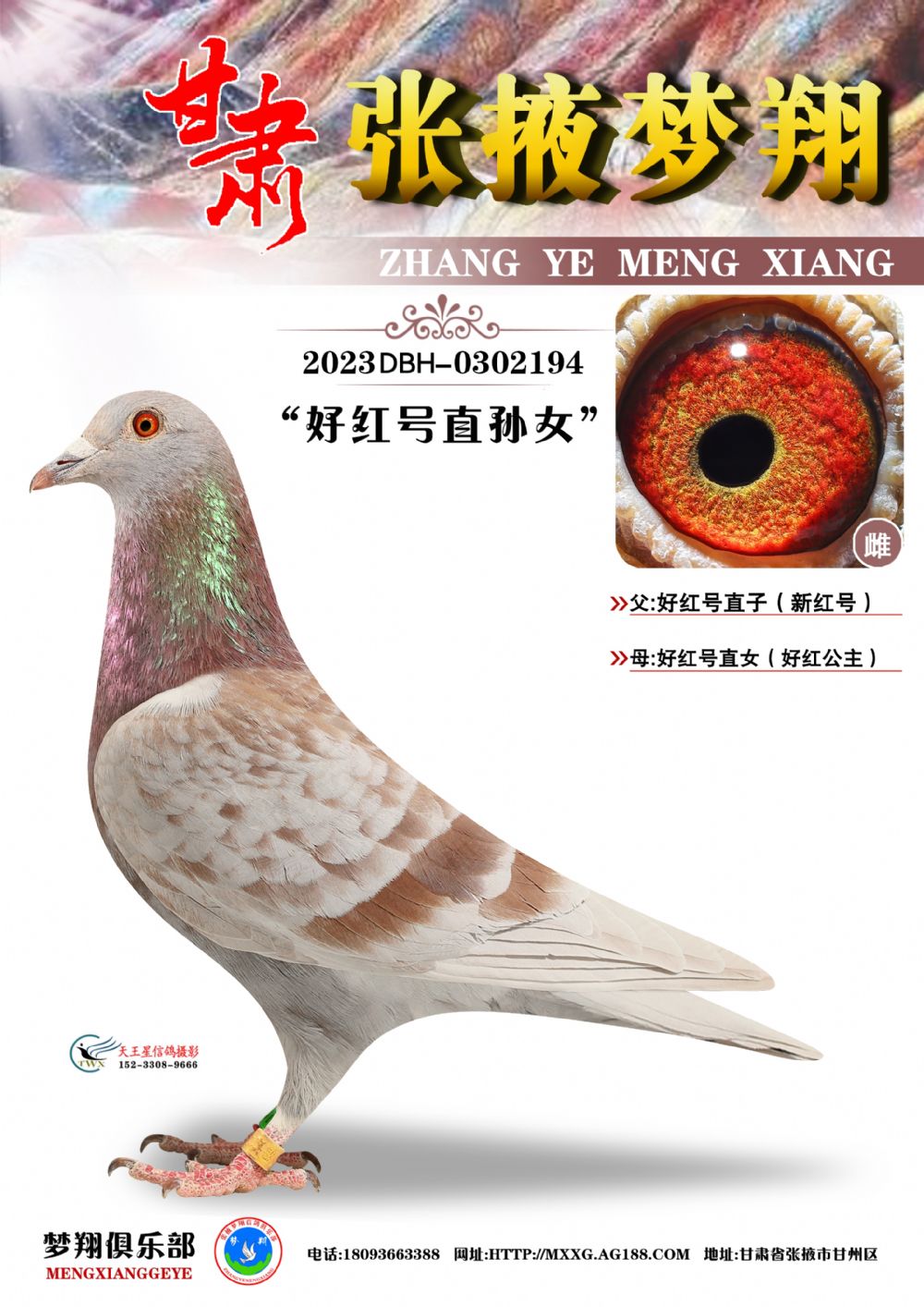 �ú쿤��